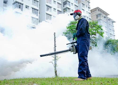 Fumigation Pest Services